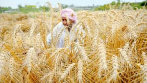 PM Kisan Samman Nidhi 