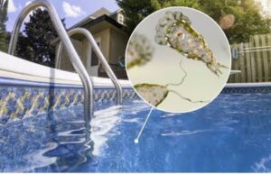 Kerala’s ‘Brain-Eating Amoeba’ Outbreak