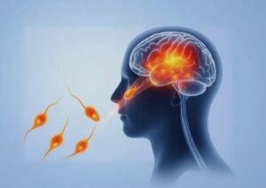 Kerala’s ‘Brain-Eating Amoeba’ Outbreak